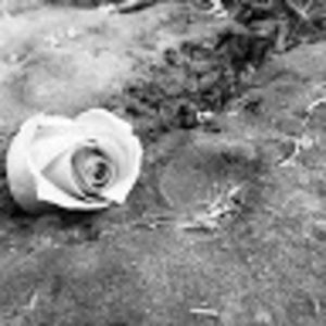 Meet your Posher, Kira